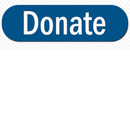 Game Shuts Down When Someone Donates 50k