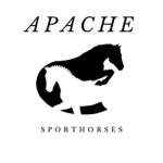 Apache Sporthorses