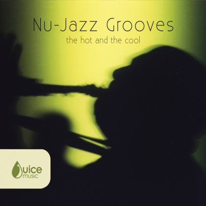 Nu-Jazz in the Hood Roblox music