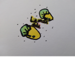 Lemonade time