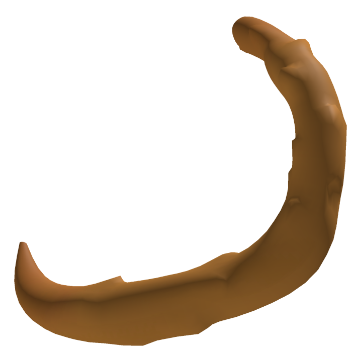 ꒰ Cute Scooby Doo Tail