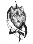 San Diego BloodWolfs