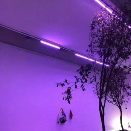 purple aesthetic Roblox decal