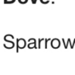 Sparrow Entertainment