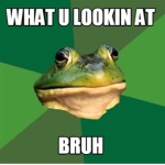 Frog meme studio