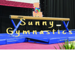 Everest Gymnastics