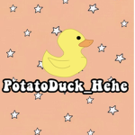 Aesthetic Duckies