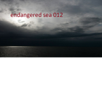 endangered sea 012