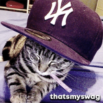 thatsmyswag