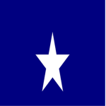 'The United States Military'