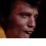 Elvis and The Gang