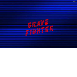 Brave Fighter