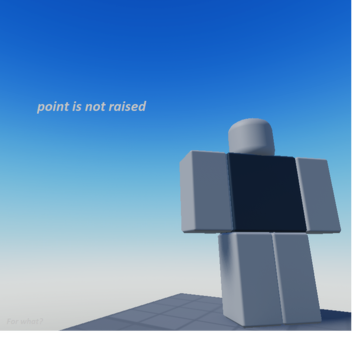 point is not raised
