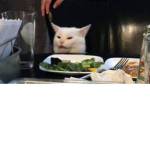 The anoying kid