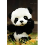 Ilovepandas_plays