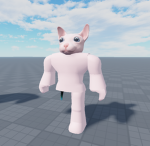 Cat2025
