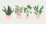 Plant kindness!!
