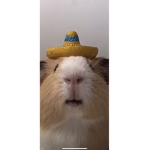 DOS amigos!!!