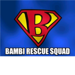 BambiRescueSquad