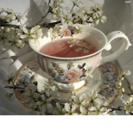 + ethereal cup +