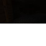 Nightmare_squad