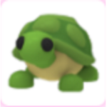 ~Livs Little Turtles~