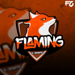 FLAMING Teamm