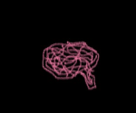 Dumb Brains Studios