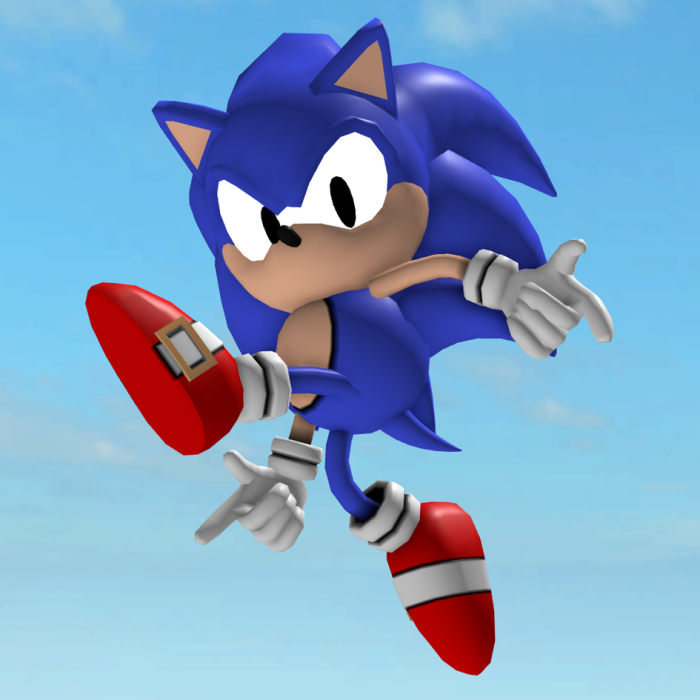 Sonic Rig V.2 preview 1