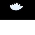 White Turkey Productions