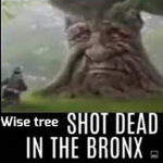 Tree.Studio’s Official