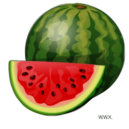 (Shop & Scopes) Watermelon Warfare X
