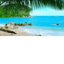 TROPICAL BRAWL  icon