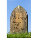 HoneyMchoney