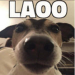 LAOO