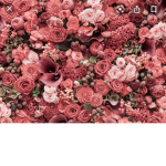 X.flowers.X
