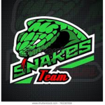 The team snake