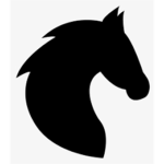 Starstruck Dressage Academy