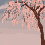 ~Blossom Closet~