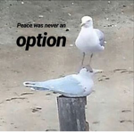 Bird can fly