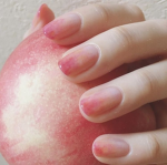 > apple tree :
