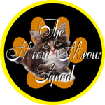 The Meow Meow Squad