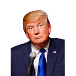 The Donald Trumps