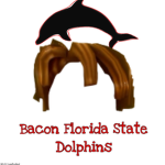 Florida State Dolphins Catholic School (FSDCS)