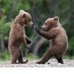 #BEAR SQUOD