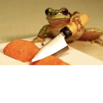 ʕ•ᴥ•ʔ f r o g ʕ•ᴥ•ʔ