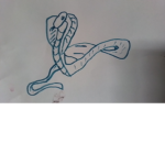 Stop hating SNAKES!!!!!!!!!!
