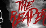 Hollyhood77