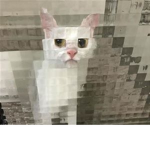sogywogytwoast
