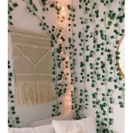 Vines!